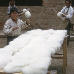 Beating slippers at the alpaca fur factory