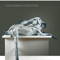 The human condition  : The Stephen and Pamela Hootkin Collection