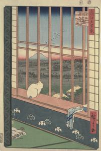 Asakusa Ricefields and Torinomachi Festival (Asakusa tanbo Torinomachi mōde), no. 101 from the series One-hundred Views of Famous Places in Edo (Meisho Edo hyakkei)