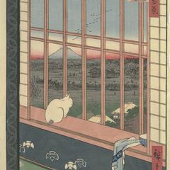 Asakusa Ricefields and Torinomachi Festival (Asakusa tanbo Torinomachi mōde), no. 101 from the series One-hundred Views of Famous Places in Edo (Meisho Edo hyakkei)
