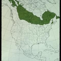 Map of the boreal forests in North America
