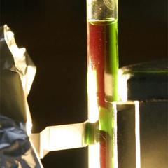 Fluorescence of pigment extract - detail of Science.6.3.bib