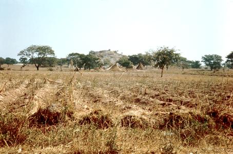 Farmlands during Dry Season in Zaria City