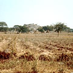 Farmlands during Dry Season in Zaria City