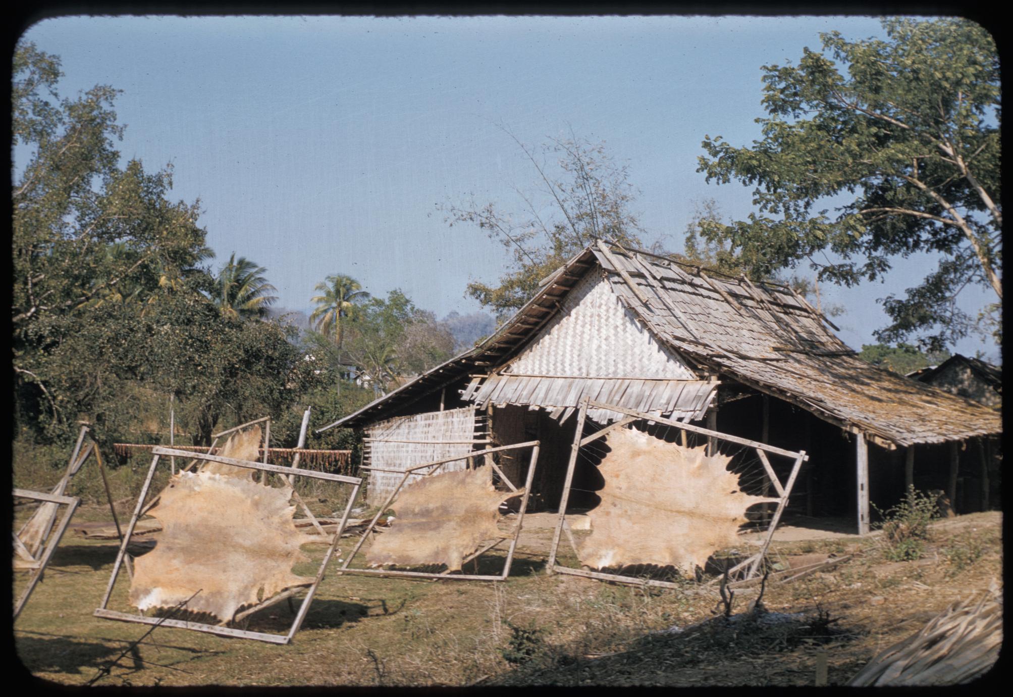 Tai Dam village near Luang Prabang : skins drying