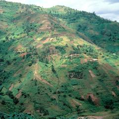 Hill Cultivation with Soil Erosion