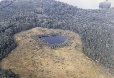 Aerial view of Crystal Lake Bog