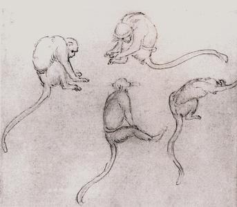 Monkey Drawings