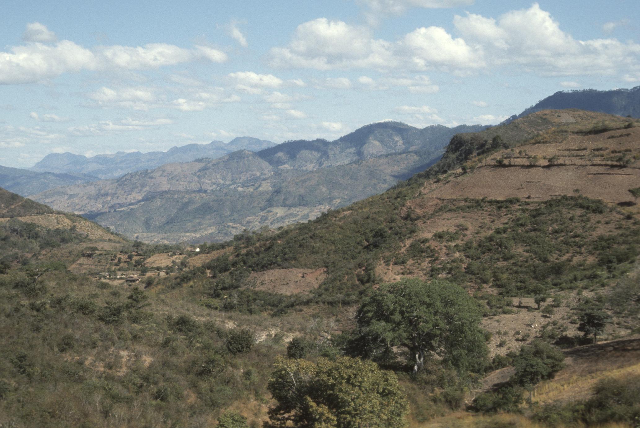 Hills, supposedly with teosinte, near El Rincon