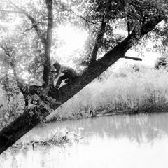 Estella Leopold and dog in tree on "Estella's Island" near slough