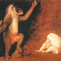Baboon and Albino Macaque