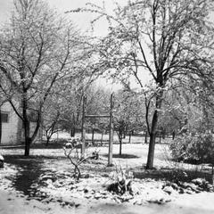 Snow covered yard in Burlington