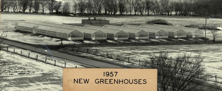 New greenhouses, 1957