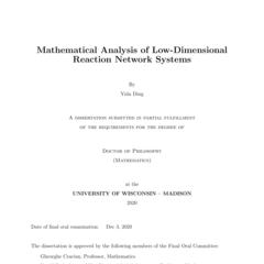 Mathematical Analysis of Low-Dimensional Reaction Network Systems