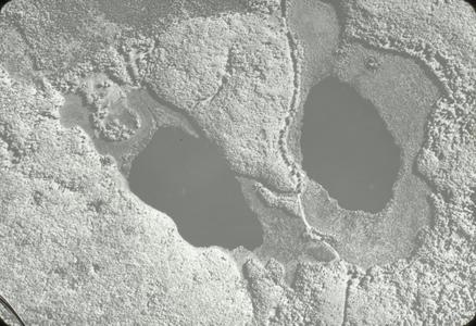 Aerial photograph of Mystery Lake and Spruce Lake