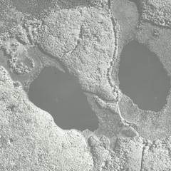 Aerial photograph of Mystery Lake and Spruce Lake