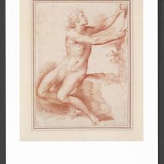 Old Master Drawings from the Permanent Collection