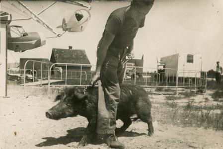 Animal trainer with pig at carnival