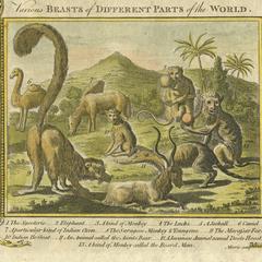 Various Beasts of Different Parts of the World