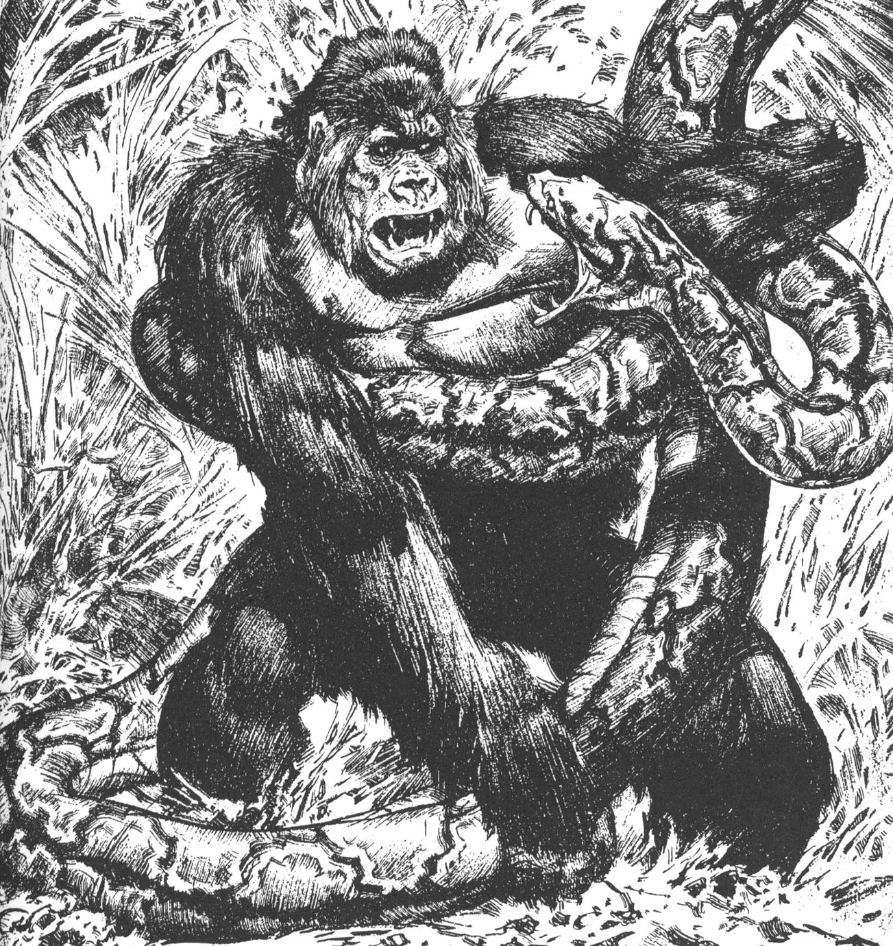 gorilla vs snake fight