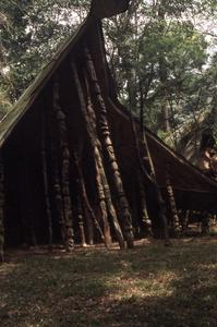 Structure in Osun Shrine