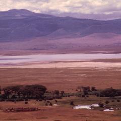The Ngorongoro Crater, a Wild-Life Refuge