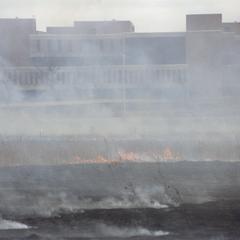 Prairie burn at UW-Parkside
