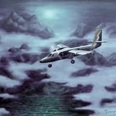 Oil painting : Night mission