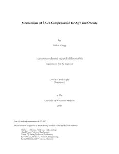 Mechanisms of Beta-Cell Compensation for Age and Obesity