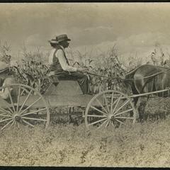 Mock courting, Frost family