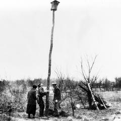 Estella, Starker, and Aldo Leopold putting up marten house