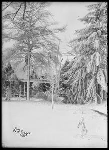 "Ivy Lodge" in winter - snow