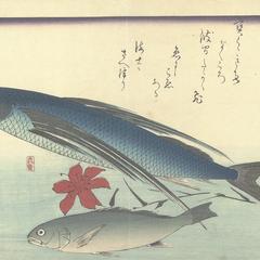 Flying Fish, Ishimochi, and Lily, from a series of Fish Subjects