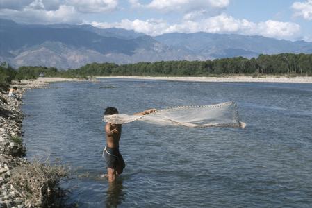Minnow netting, Río Grande de Zacapa