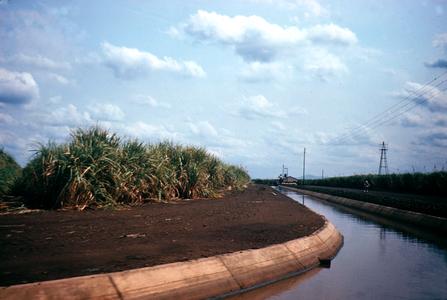 Irrigation of Sugar Cane on Tambakulu