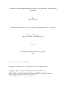 Essays on labor market changes and individual outcomes in developing countries