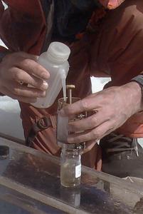 Timothy Kratz washing zooplankton