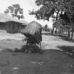 Basket Resting over Plant Shrine in Mbe