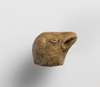 Animal head fragment