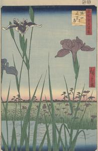 Irises at Horikiri, no. 56 from the series One-hundred Views of Famous Places in Edo