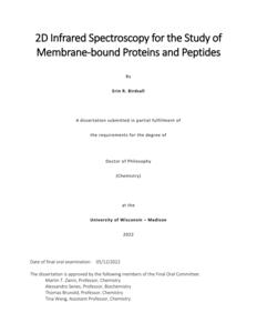2D Infrared Spectroscopy for the Study of Membrane-bound Proteins and Peptides