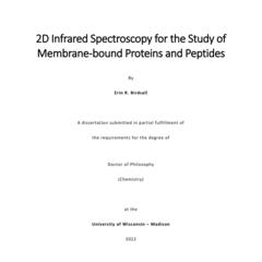 2D Infrared Spectroscopy for the Study of Membrane-bound Proteins and Peptides