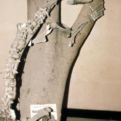 Palaeopropithecus