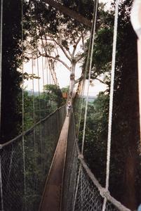 Crossing rope bridge in Kakum National Park