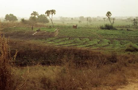 People farming in Bida