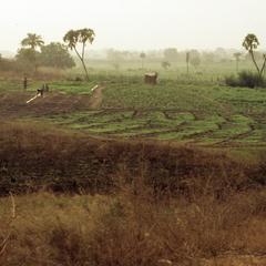 People farming in Bida