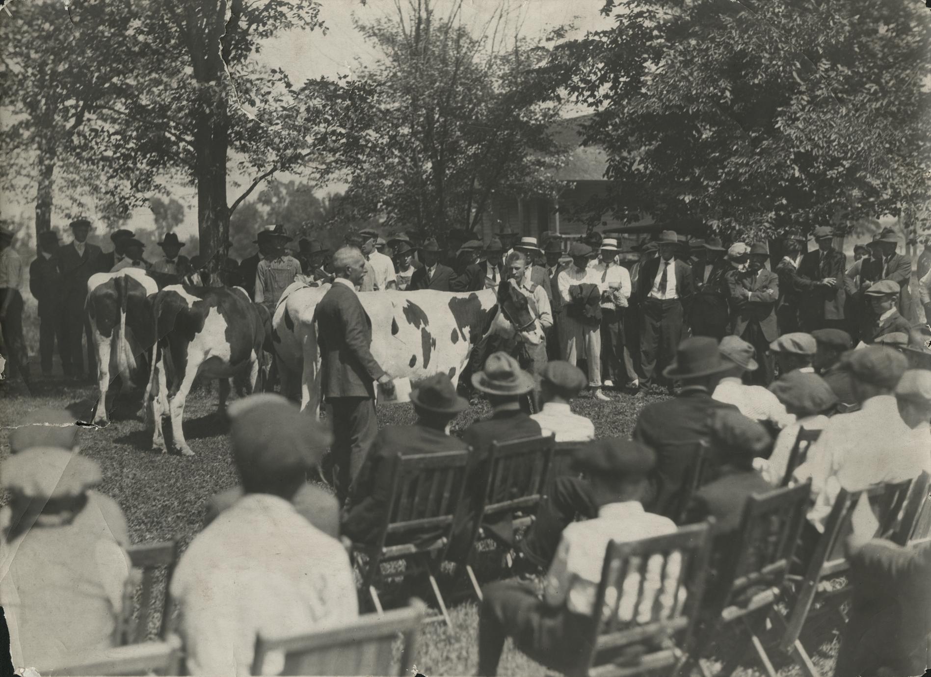 ‎Waukesha County HolsteinFriesian Breeder's Association Picnic UWDC