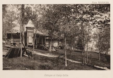 Cottages at Camp Collie