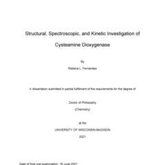 Structural, Spectroscopic, and Kinetic Investigation of Cysteamine Dioxygenase