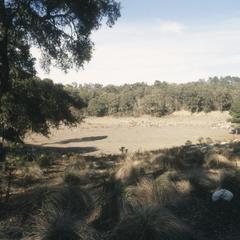 Frost depressions with rodents, Cerro Grande